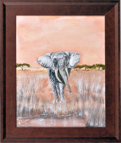 African Bull Elephant